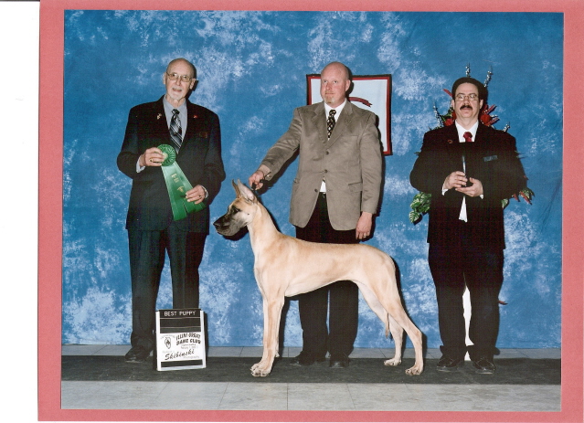http://www.illinigreatdaneclub.com/Best_Puppy_in_Regular_Classes_Specialty_II.jpg